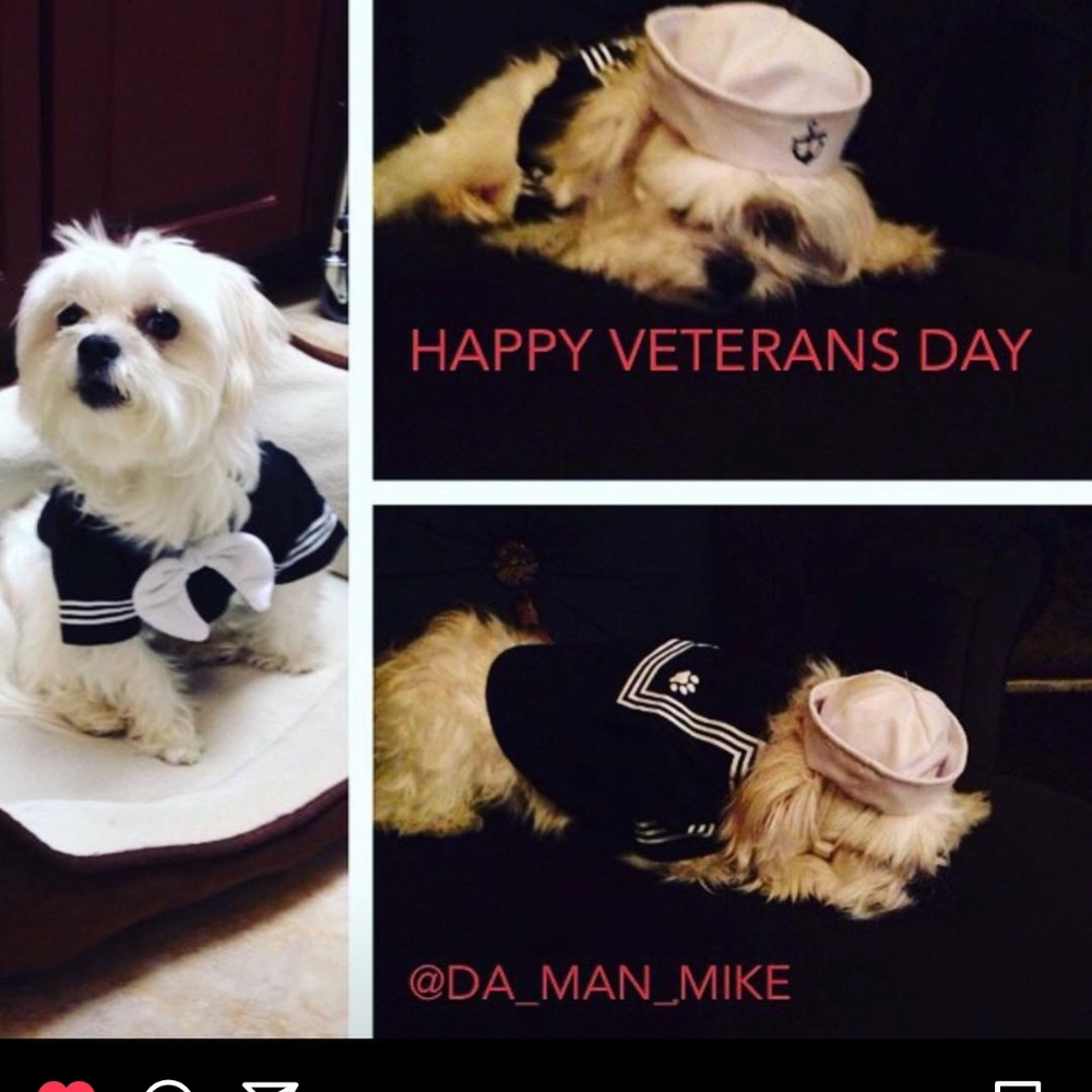 Costumes - Picture 7 of 8